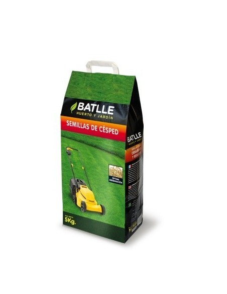 Semilla cesped inglés diploide RAYGRASS