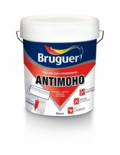 Pintura plástica blanca mate antimoho