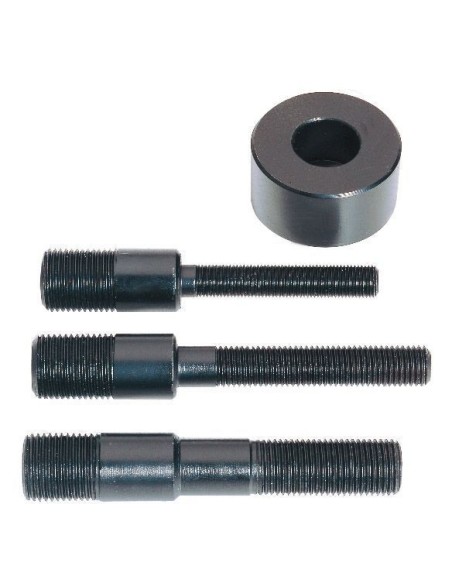 Accesorios punzonadores de tornillo Perno